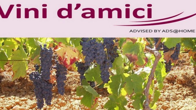 vinidamici