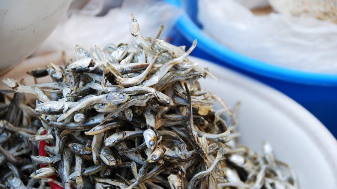anchovy-1831789_1280