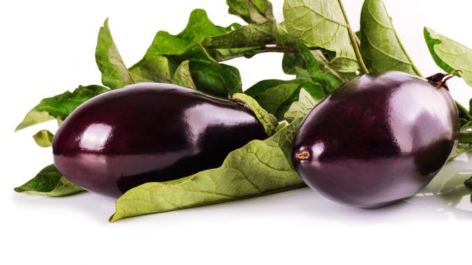 eggplant-1659784_1280