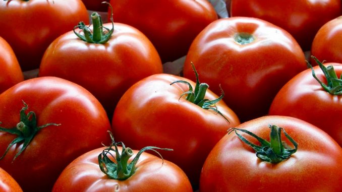 pomodori.1200x900