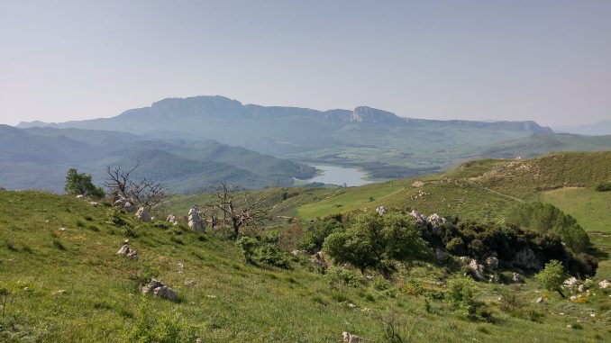 28-Bosco della Ficuzza