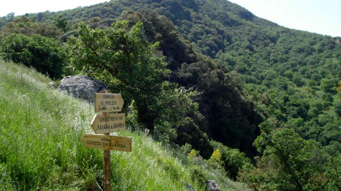 29-Bosco di Favara e Bosco Granza 0