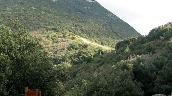 31-Monte Carcaci