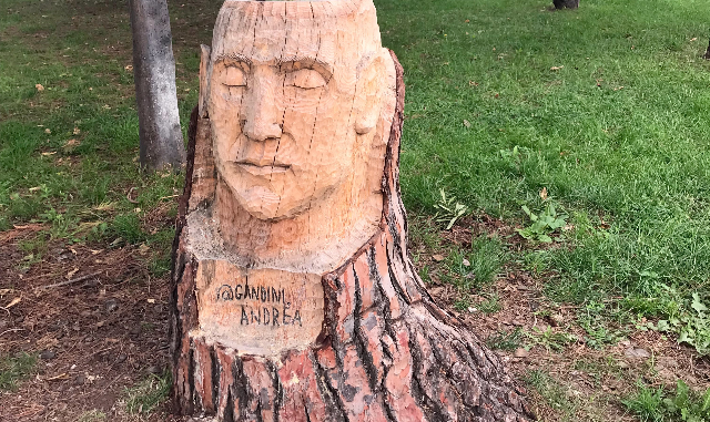 andrea