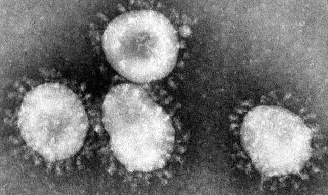 Coronavirus Coronavirus
