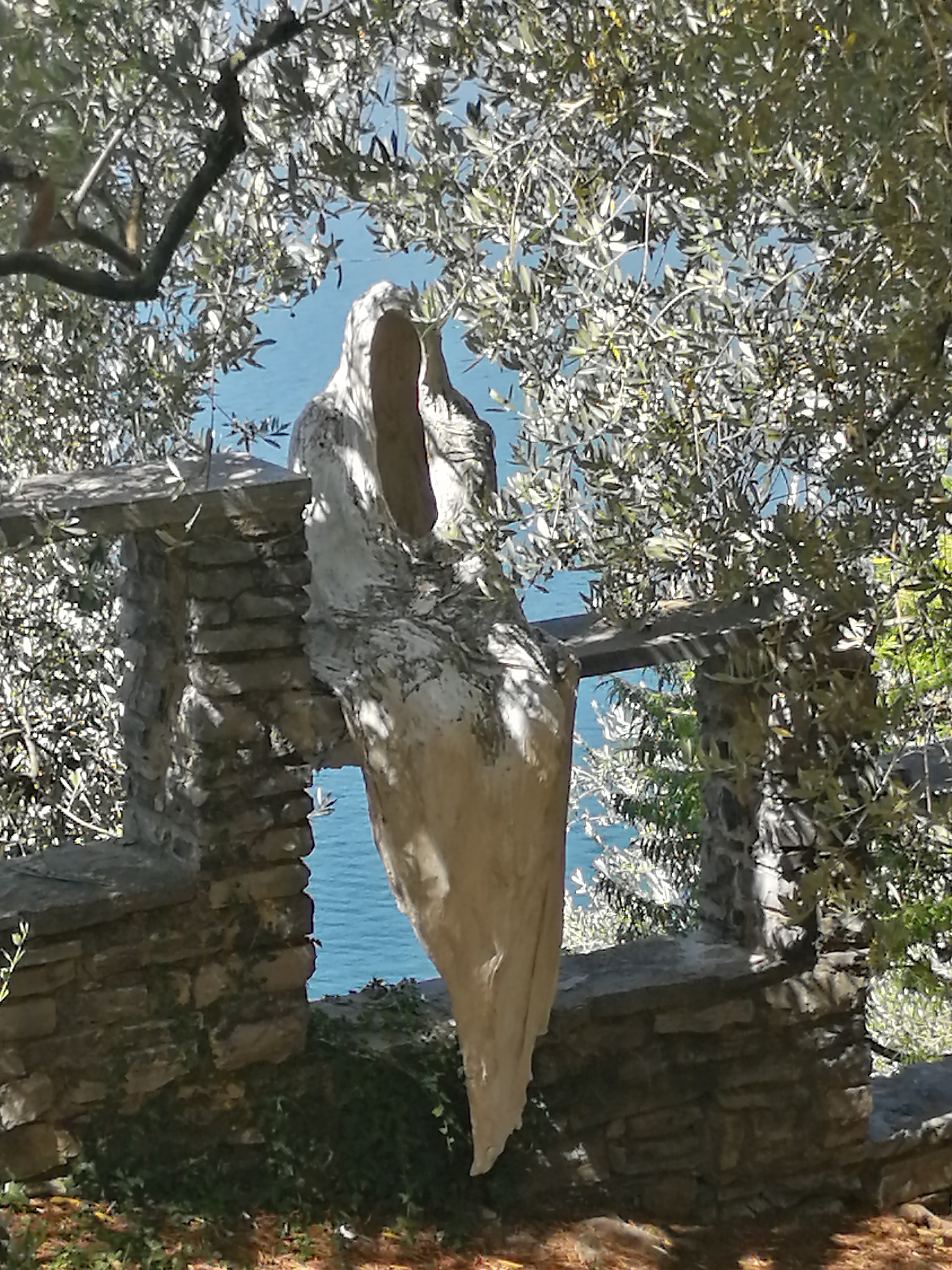 il fantasmo (2)