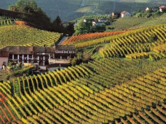 Langhe