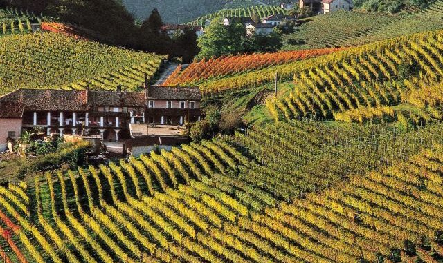 Langhe Langhe