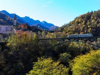 de Foliagetrein
