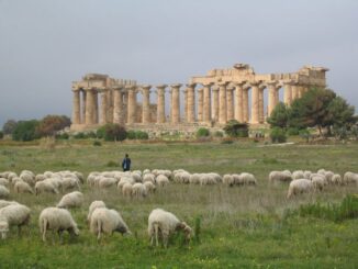 Tempel E in Selinunte