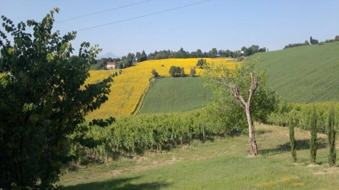 Mooi panorama in Le Marche