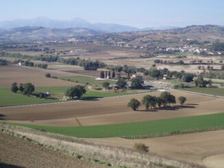 Archeologische site Suasa