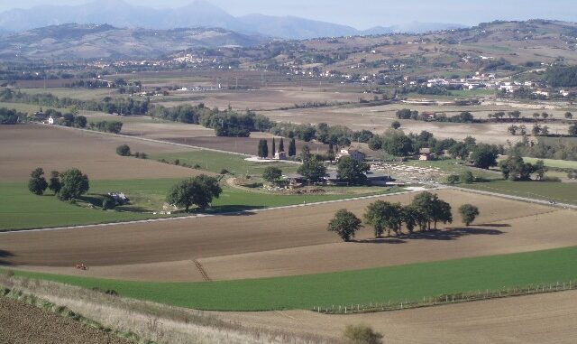 Archeologische site Suasa Archeologische site Suasa