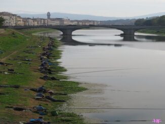 Vissers langs de Arno