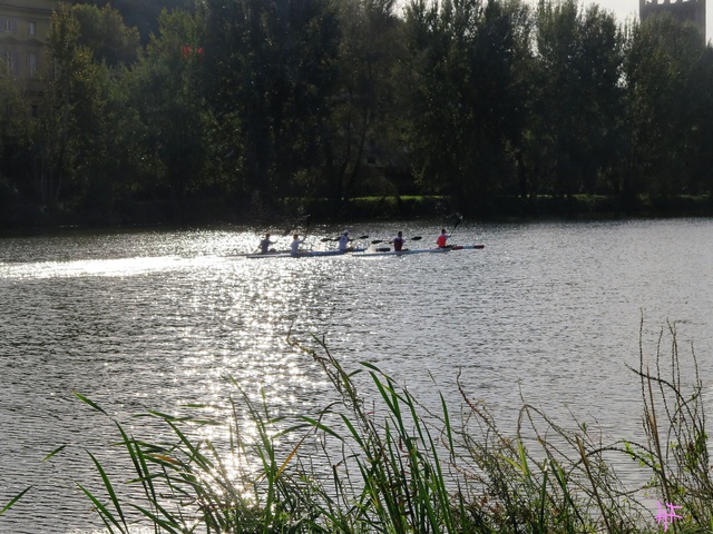 Sporten op de Arno