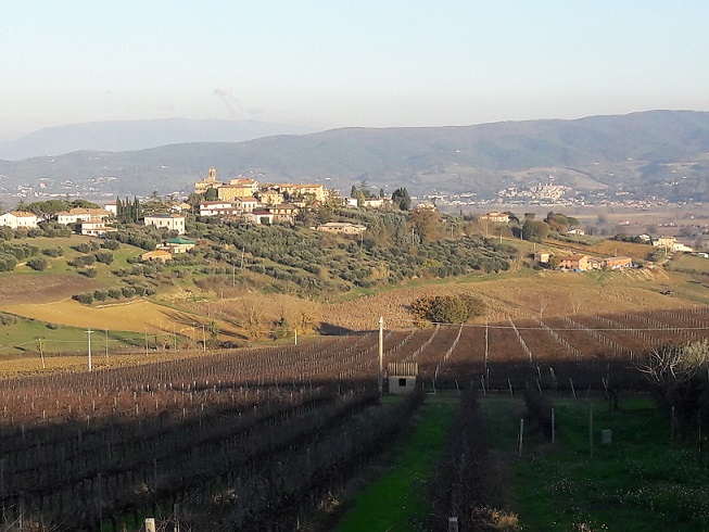 Castello delle Forme