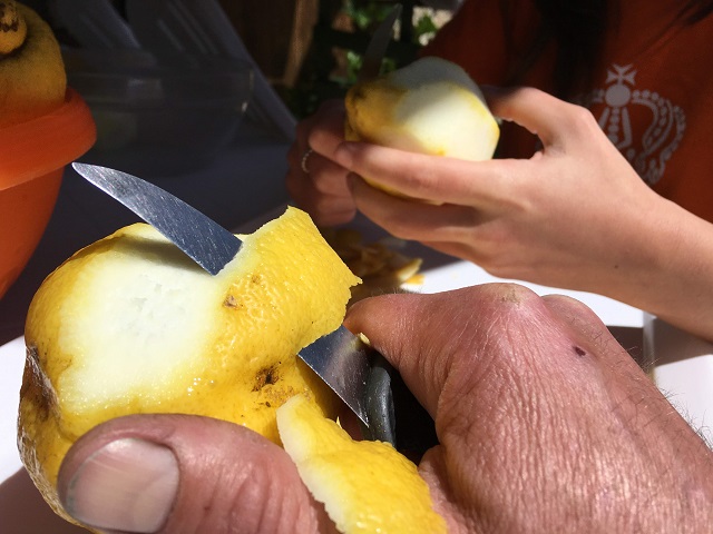 Citroenen uit Sorrento voor eigen limoncello