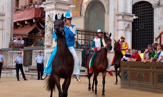 palio 4
