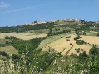 Monterubbiano panorama