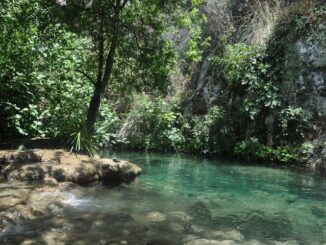 Cava Paradiso