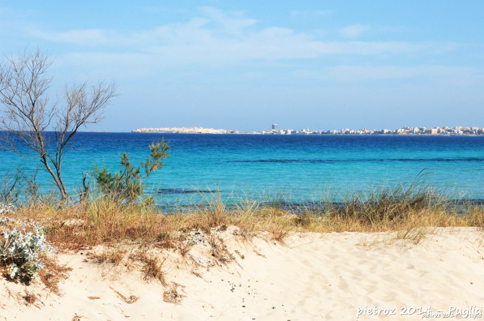 Baia verde