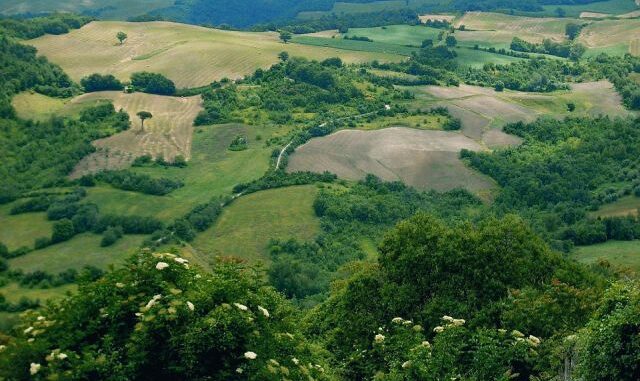 molise