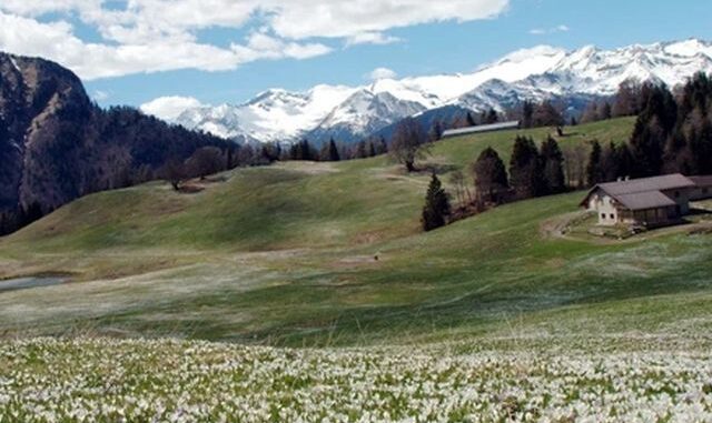 trentino 0