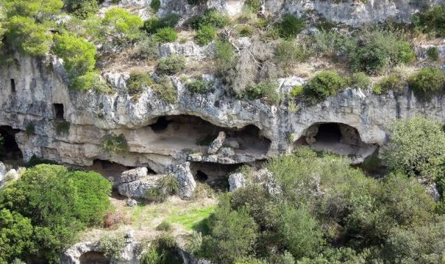 gravina 0