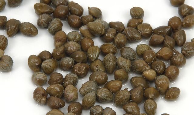 capperi