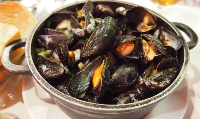 cozze