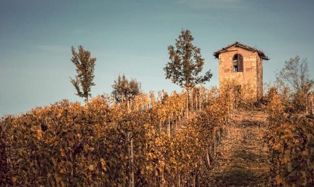 freisa piemonte