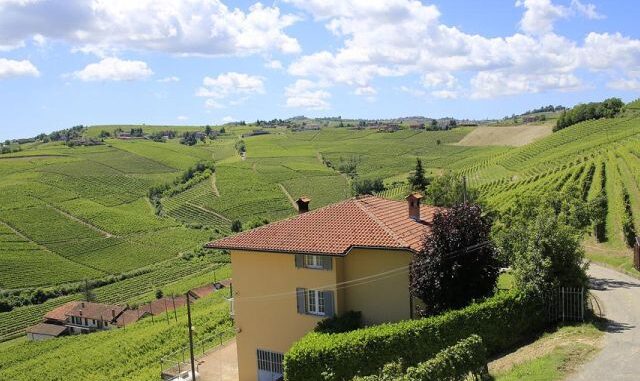 grignolino piemonte