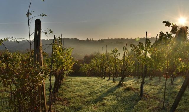 sagrantino umbria