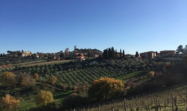 vernaccia san gimignano