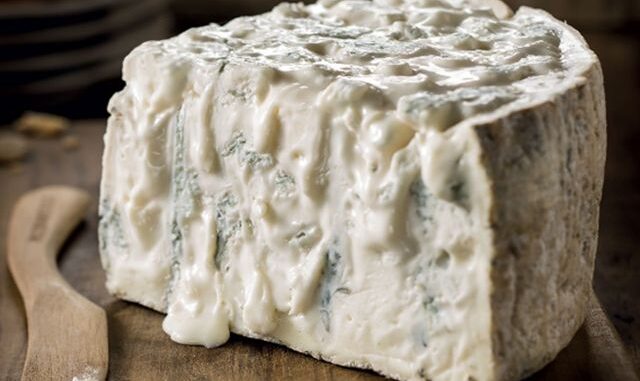 gorgonzola