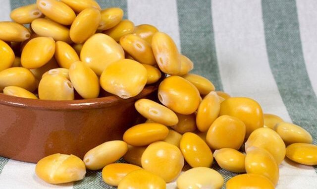 lupini