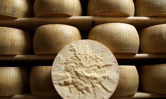 parmesan