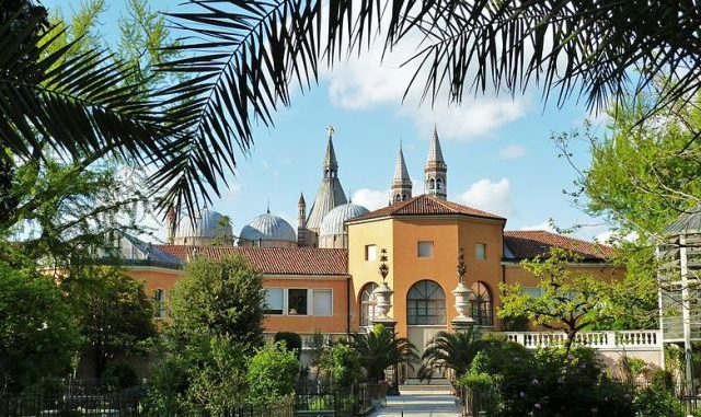 Orto botanico de Padova (foto Wikicommons - rollroboter)