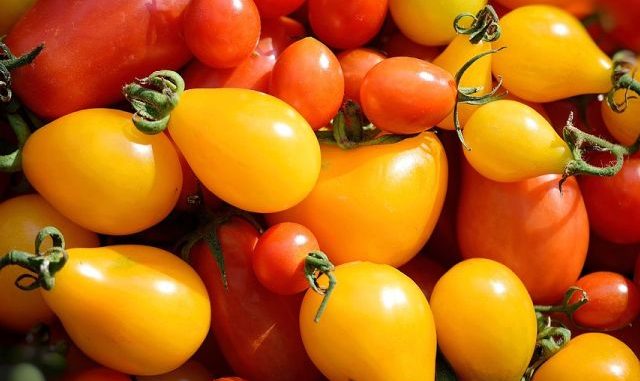 pomodoro
