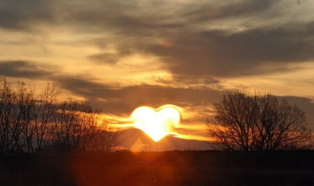 liefdezon